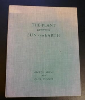 The Plant between Sun and Earth
