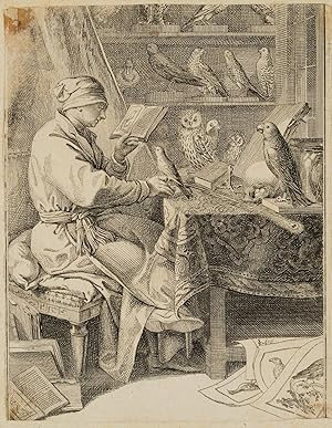 Der Vogelkundler, 1772