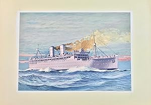 HMS Rawalpindi - Original Maritime Themed Artwork by William McDowell