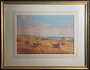 White-fronted Geese SIGNED 46 x 32 cm