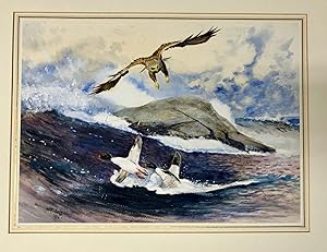 An Eagle Attacking a Brace of Ducks, SIGNED 47 x 34 cm