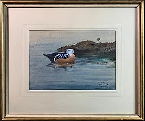 Teal, signed & inscribed 27 x 18 cm framed & glazed