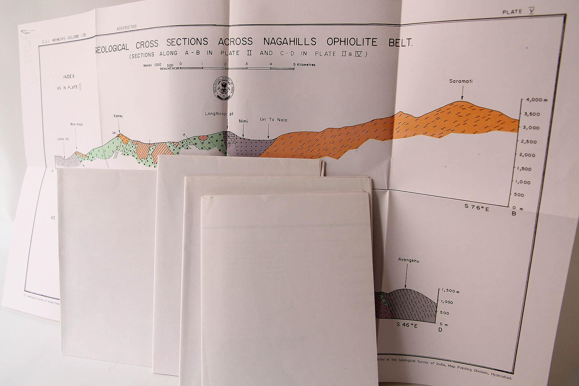 essay about the olympic games room