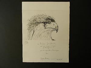 L'AIGLE MANGEUR DE SINGES. Gravure originale.