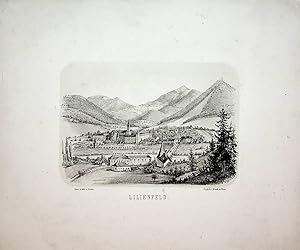 LILIENFELD, Stift Lilienfeld Ansicht, view, ca. 1855 Titel: Lilienfeld