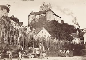 Meersburg am Bodensee: Ansicht zur Burg hin mit Fass-Transporteur. Original-Fotografie. Albumin-A...