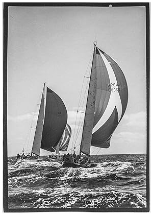 Die Yachten Pinta, Rubin und Christina in voller Fahrt mit Spinnaker. Grossformatige Original Fot...