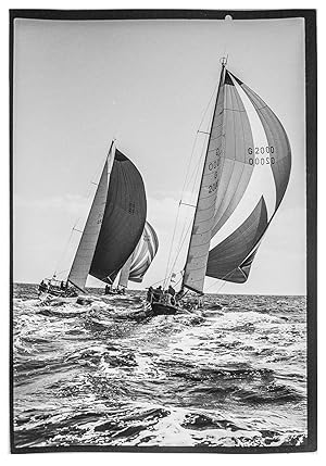 Die Yachten Pinta, Rubin und Christina in voller Fahrt mit Spinnaker. Grossformatige Original Fot...