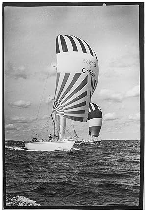 Die Yachten Jan Pott und Christine mit Spinnaker in voller Fahrt. Grossformatige Original Fotogra...