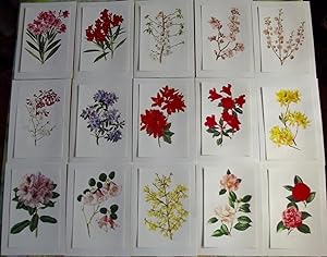 15 Ancienne Affiches Scolaire Botanique 1972 Camellia Japonica,Rhododendron,amandier , pêchers d'...