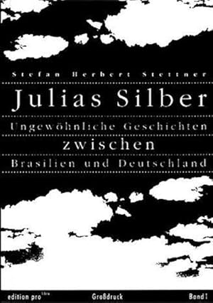 Julias Silber. Ungewöhnliche Geschichten zwischen Brasilien und Deutschland