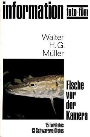 Information Foto und Film - Fische vor der Kamera