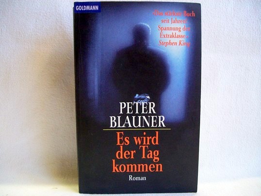 Es wird der Tag kommen Peter Blauner. Aus dem Amerikan. von Mechthild Sandberg-Ciletti - Blauner, Peter