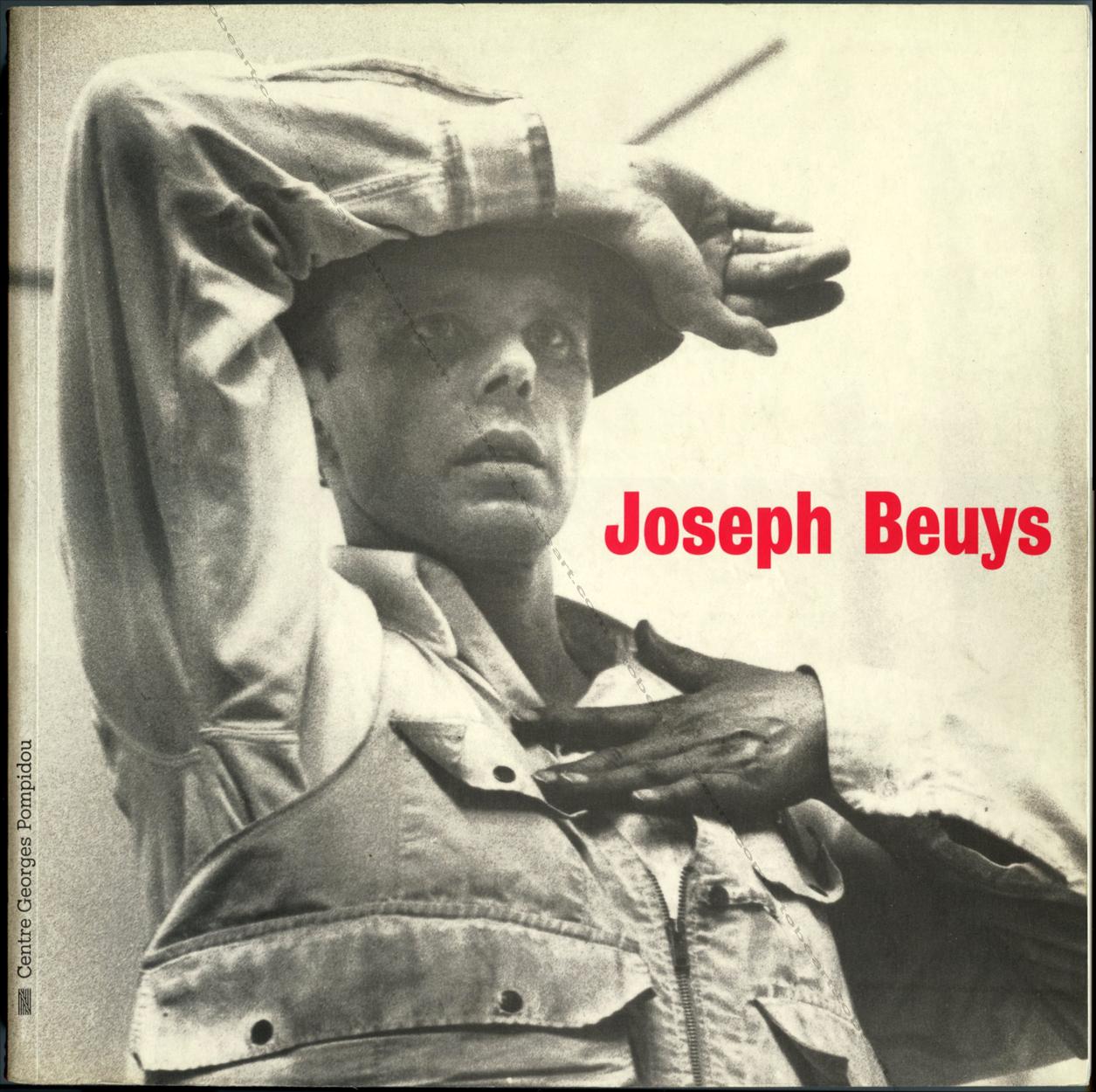 Joseph Beuys: Centre Georges Pompidou, [Paris, 30 juin-3 octobre 1994