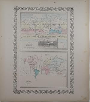 [Map of the World - Meteorology / The Principal Plants].