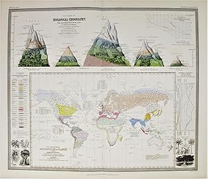 Outlines of Botanical Geography. The distribution of plants.from the drawings of Professor Berghaus.