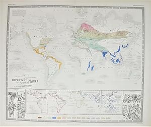 Survey of the Geographical Distribution.of the most important plants.with indications of the Isot...