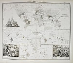 Zoological Geography. Geographical division.of Reptilia.[and] Ophidia [Snakes] Phytology & Zoolog...