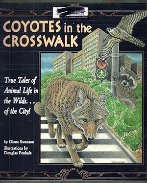 Coyotes in the Crosswalk. True Tales of Animal Life in the Wilds. of the City!