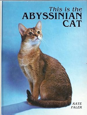 This is the Abyssinian Cat