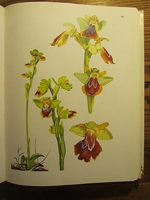Les Orchidées sauvages de Suisse et d' Europe. Tomes I et II.