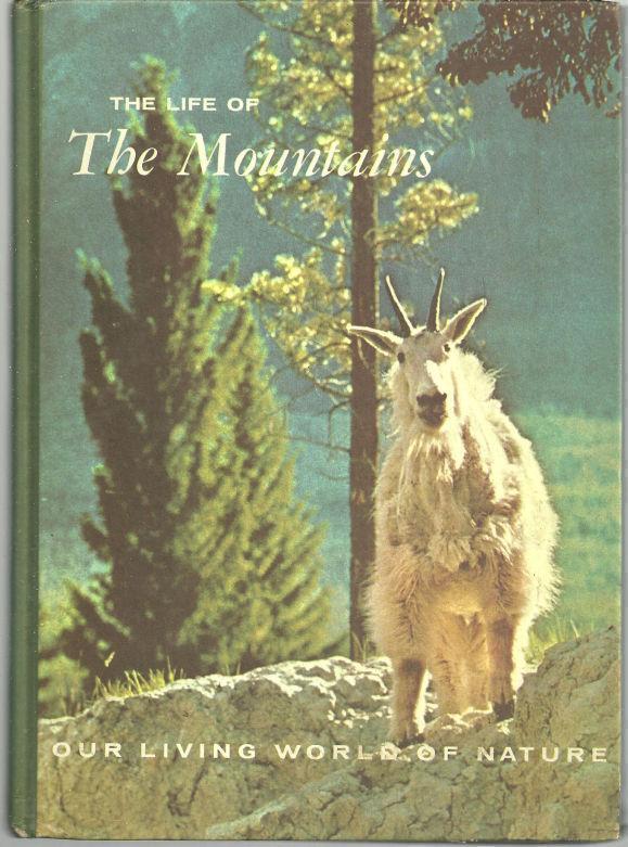 Image for LIFE OF THE MOUNTAINS