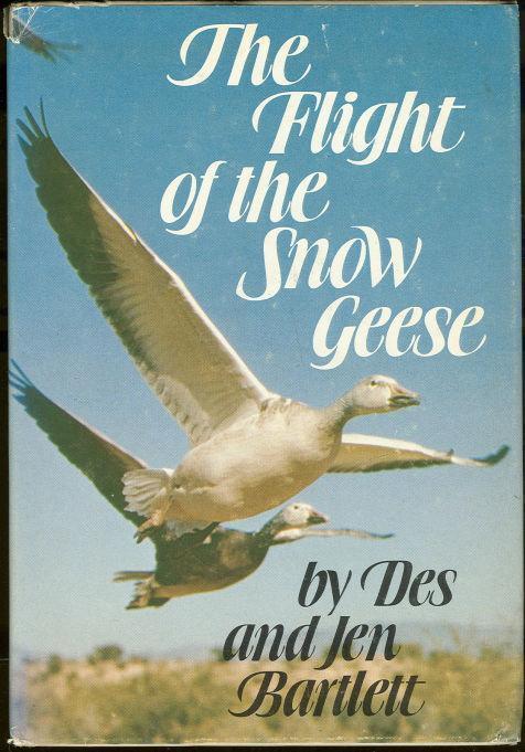 Image for FLIGHT OF THE SNOW GEESE