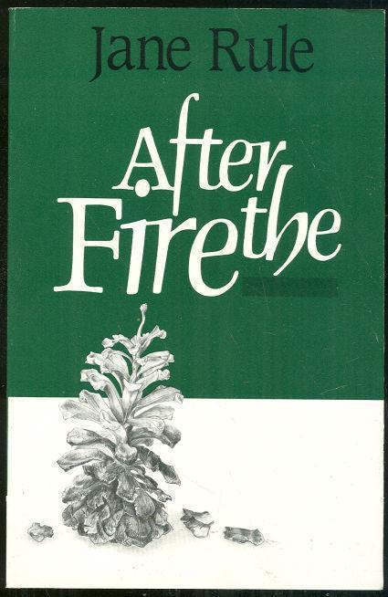 Image for AFTER THE FIRE