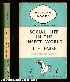 Social Life in the Insect World