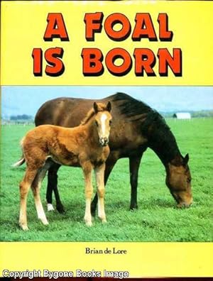 A Foal is Born