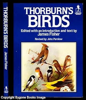 Thorburn's Birds