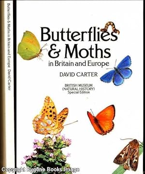 Butterflies and Moths in Britain and Europe (British Museum Special Edition)