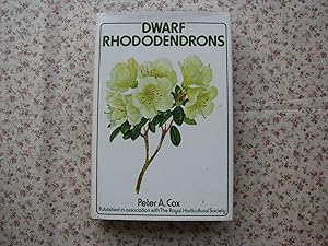 Dwarf Rhododendrons