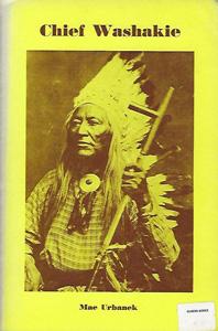 Chief Washakie of the Shoshones