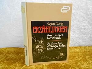 Brennendes Geheimnis / Vierundzwanzig Stunden aus dem Leben einer Frau.