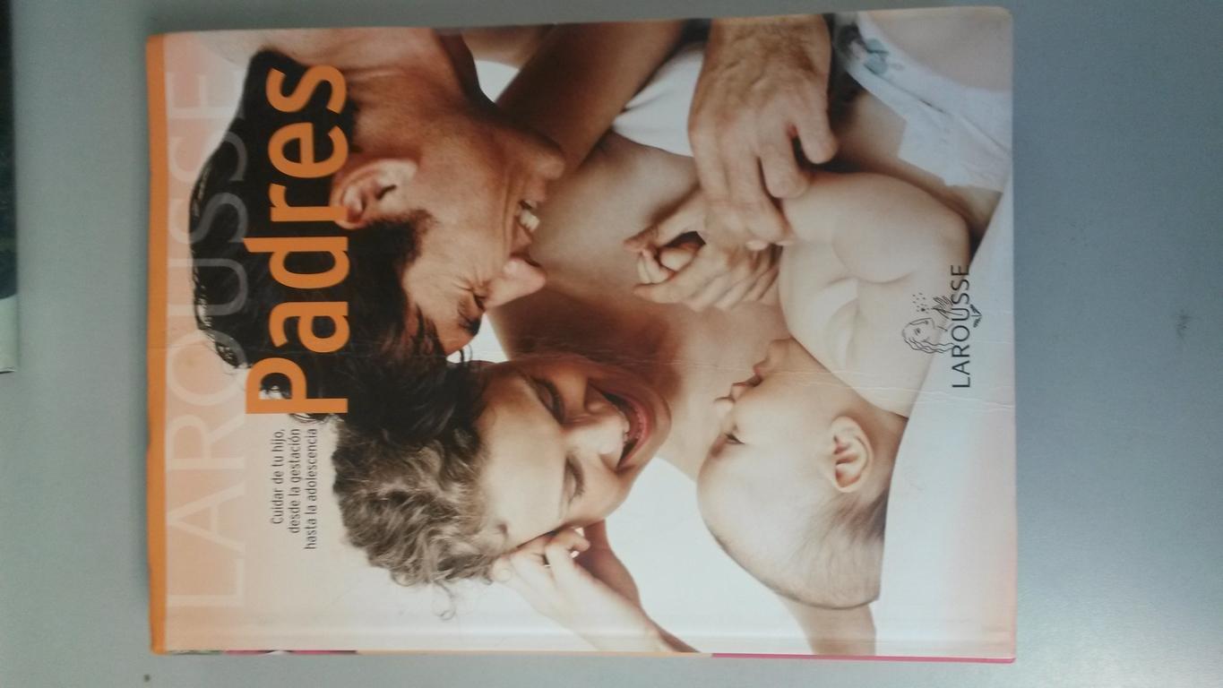 Larousse Padres: Cuidar De Tu Hijo, Desde La Gestación Hasta La Adolescencia - VVAA. Enrique Vicien Mañé