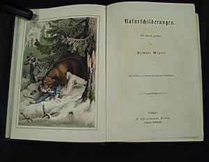 Naturschilderungen der jugend gewidmet von Hermann Wagner. Mit 10 bildern in tondruck und zahlrei...