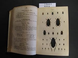 Käferbuch. Allgemeine und specielle Naturgeschichte der Käfer Europa`s. Nebst der Anweisung sie z...
