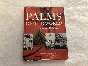 Palms of The World