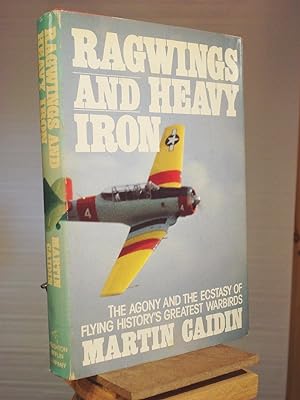 Ragwings and Heavy Iron: The Agony and the Ecstasy of Flying History's Greatest Warbirds