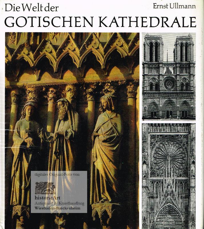 Die Welt der gotischen Kathedrale. Mit Fotos von Werner Neumeister.