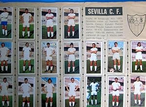 FÚTBOL. EQUIPO DEL SEVILLA C. F. COMPLETO. CAMPEONATO DE LIGA 1975 76. EDICIONES ESTE, 1975. (Col...