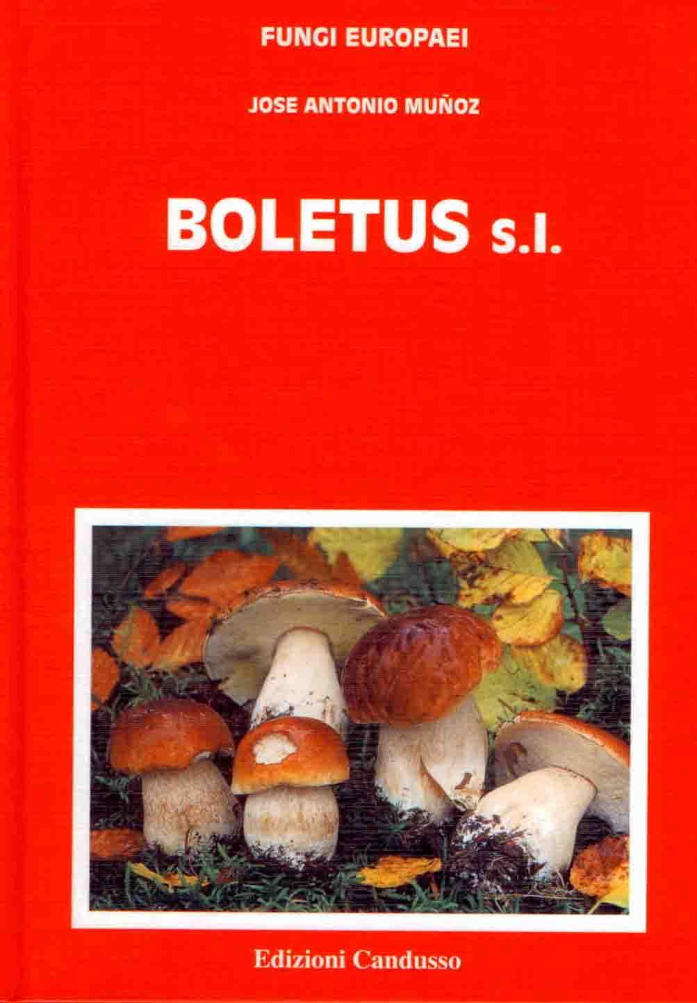 Boletus s. l. Ediz. spagnola (Fungi europaei)