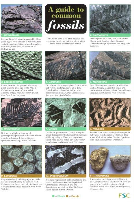 Common Mineral Identification Chart