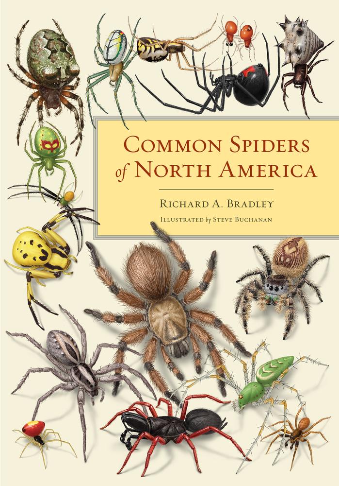 Common Spiders of North America Richard A. Bradley Author
