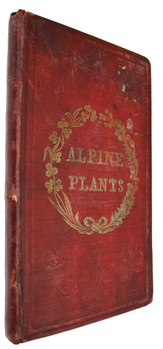 Practical Hints on the Culture and General Management of Alpine or Rock Plants - Lothian, James