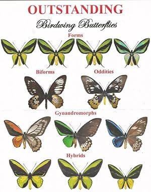 Birdwing Butterflies Abebooks