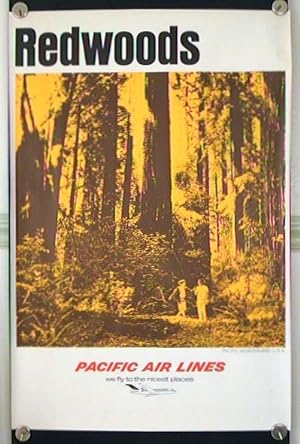Redwoods. Pacific Wonderland U.S.A. Pacific Air Lines - we fly the nicest places.