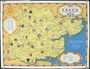 A New Pictorial Map of Essex containing much of historical and ...