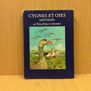 Cygnes et oies sauvages